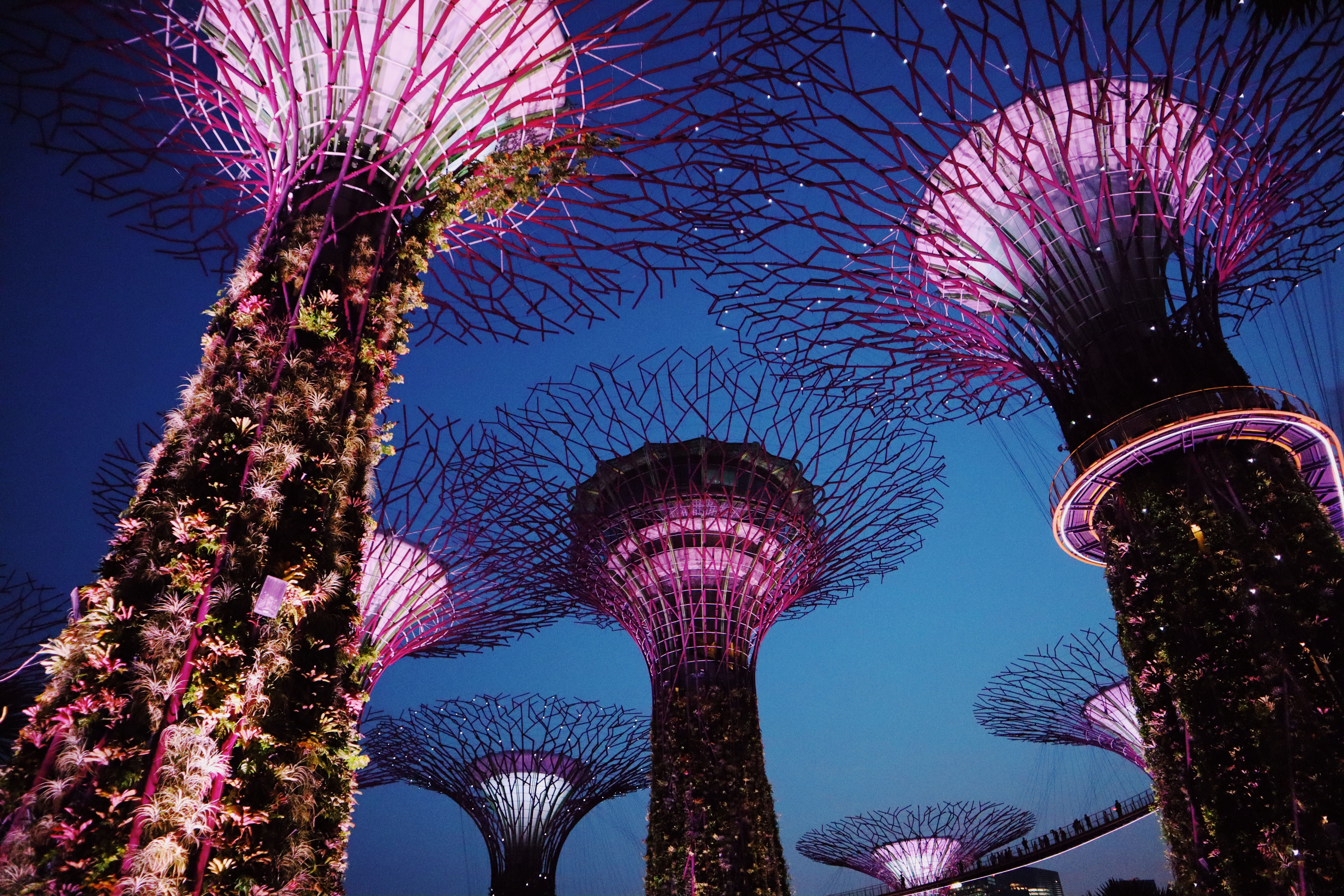 Singapore — Where the Future Meets CultureSingapore — Where the Future Meets Culture